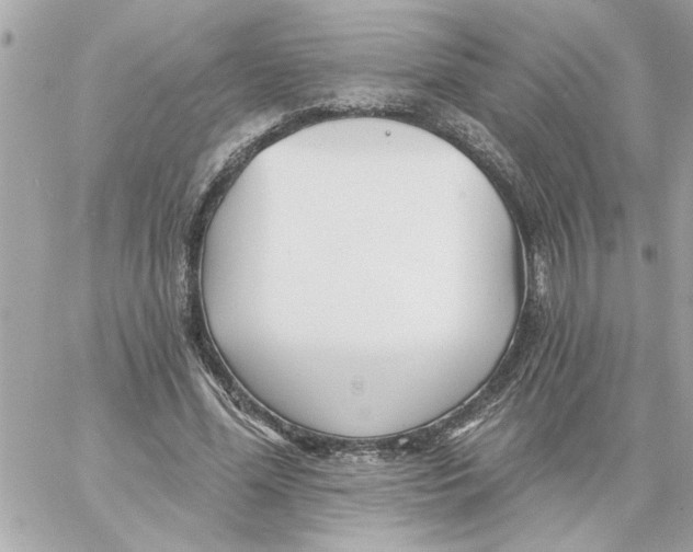 X0000059060588200511041731