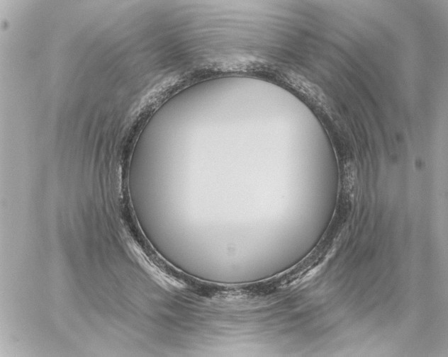 X0000059060589200511041731