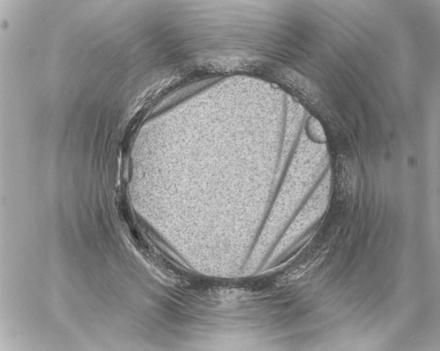 X0000059060590200511041731