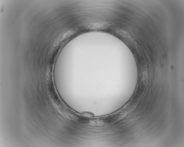 X0000059060591200511041731