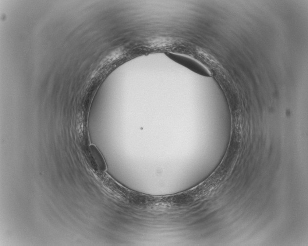 X0000059060593200511041731