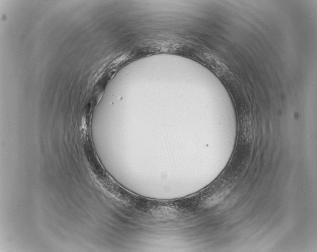 X0000059060594200511041731