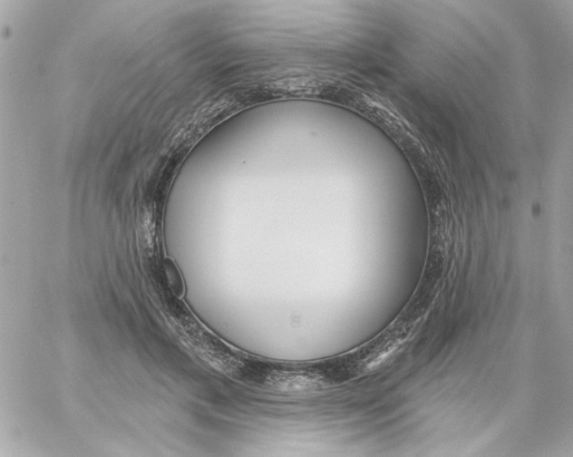 X0000059060597200511041730