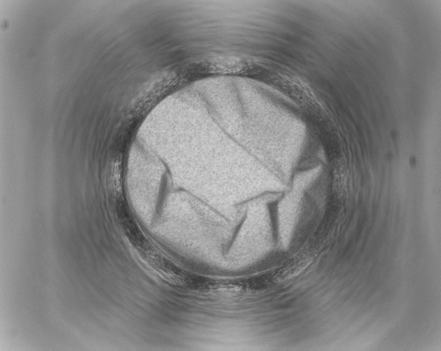 X0000059060598200511041730