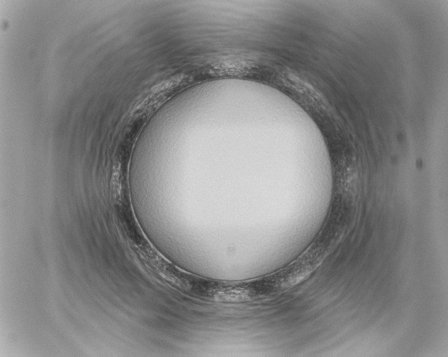 X0000059060599200511041730