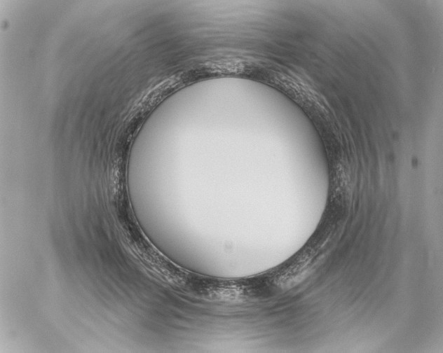 X0000059060600200511041730