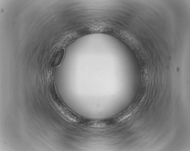 X0000059060601200511041730