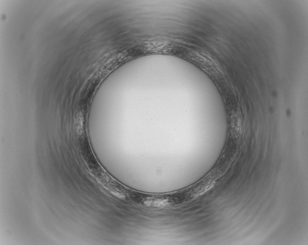 X0000059060602200511041730