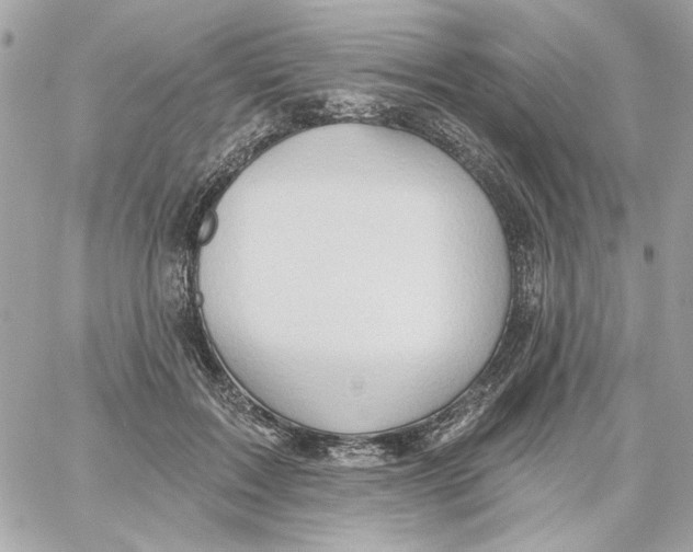 X0000059060603200511041730