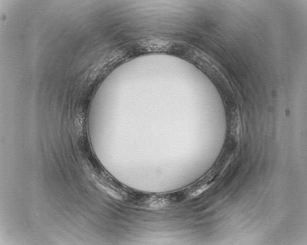 X0000059060604200511041730