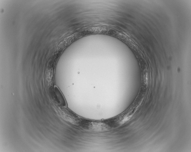 X0000059060605200511041730