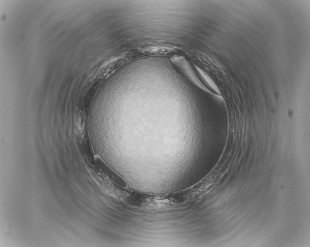 X0000059060607200511041730