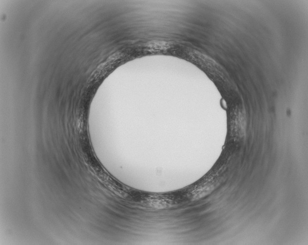 X0000059060608200511041730