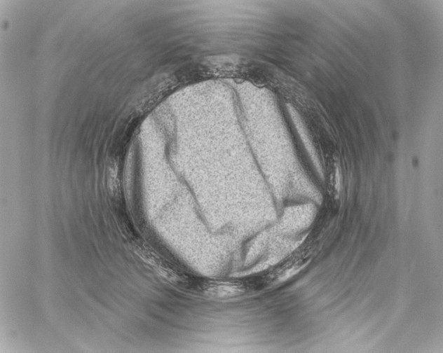 X0000059060610200511041730