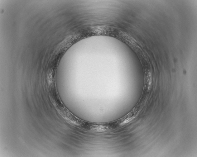 X0000059060611200511041730