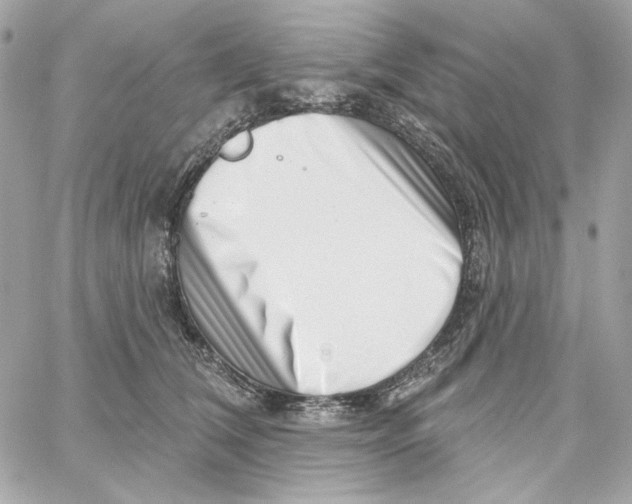 X0000059060612200511041730