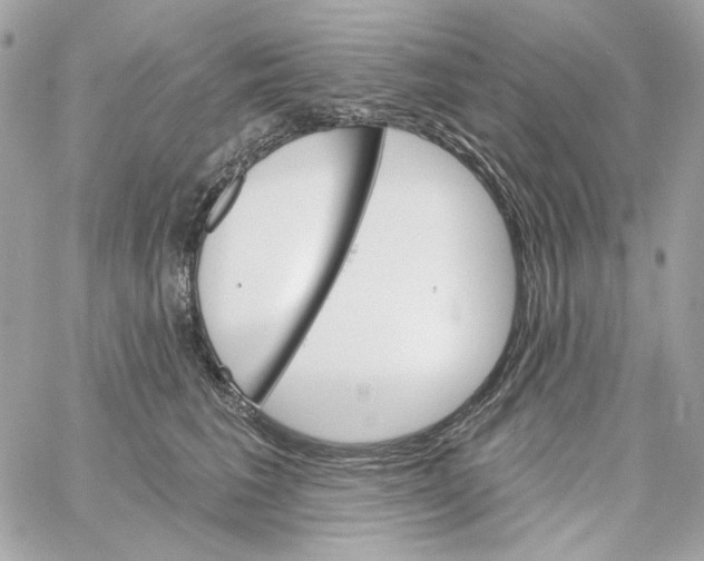 X0000059060613200511041730