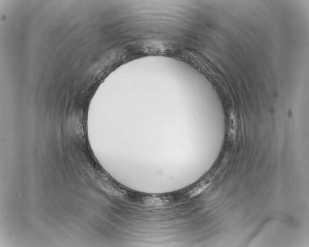 X0000059060616200511041730