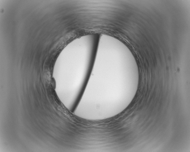 X0000059060617200511041730