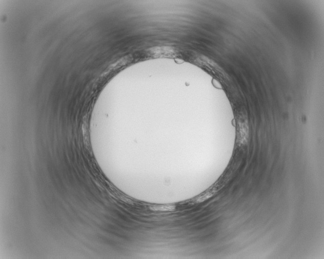 X0000059060618200511041730