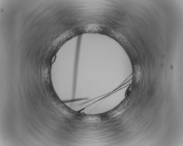 X0000059060619200511041730