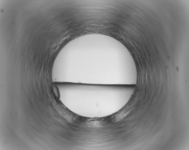 X0000059060620200511041730