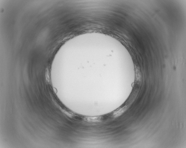 X0000059060622200511041730