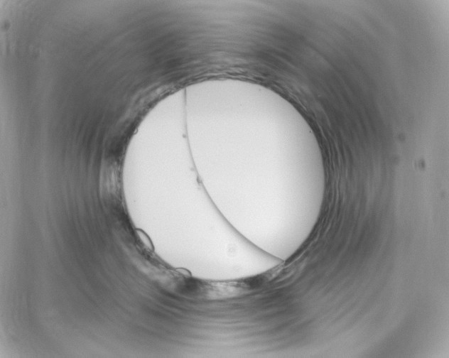 X0000059060623200511041730