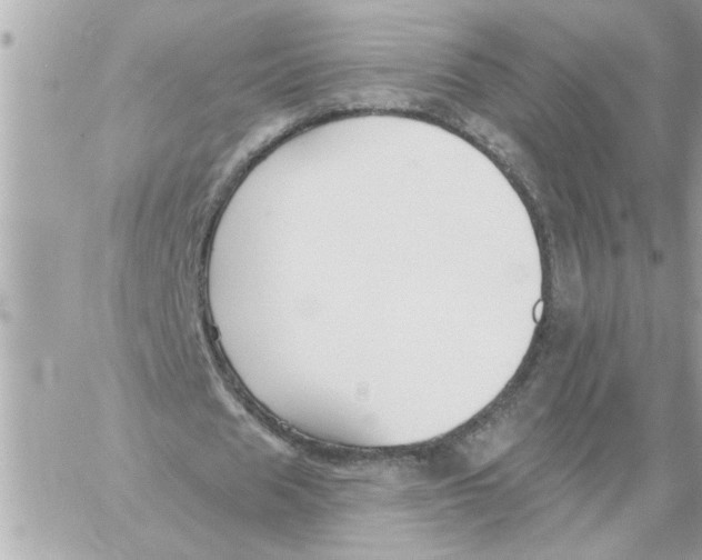 X0000059060625200511041729