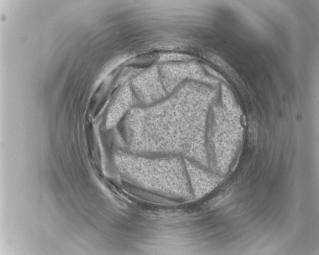 X0000059060626200511041729