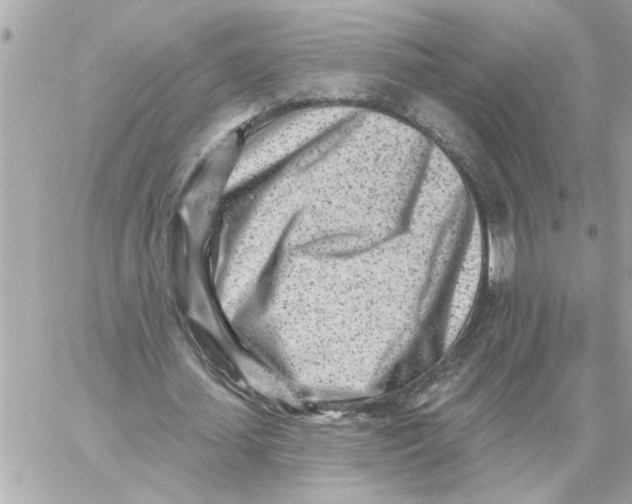 X0000059060627200511041729