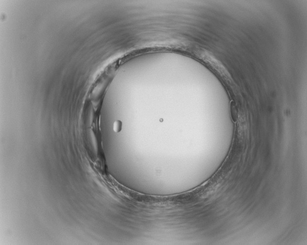 X0000059060628200511041729