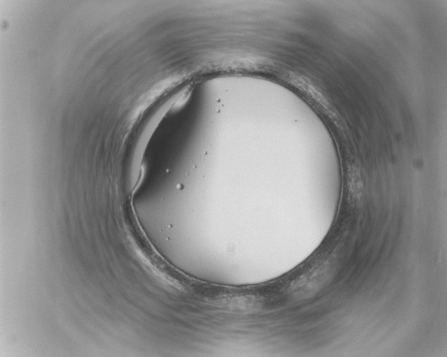 X0000059060629200511041729