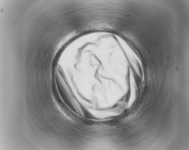 X0000059060630200511041729