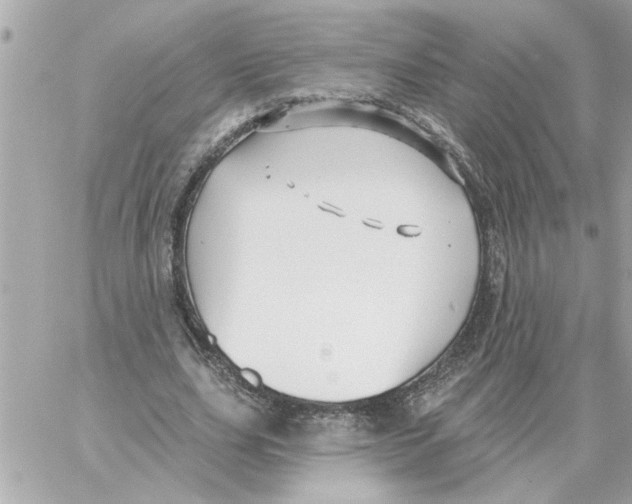 X0000059060631200511041729