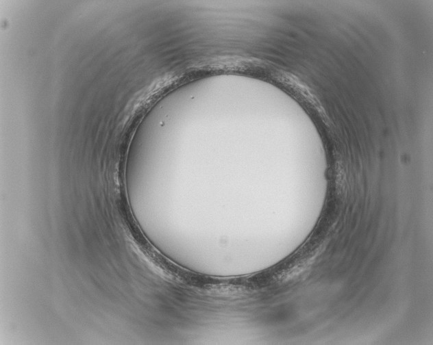 X0000059060633200511041729