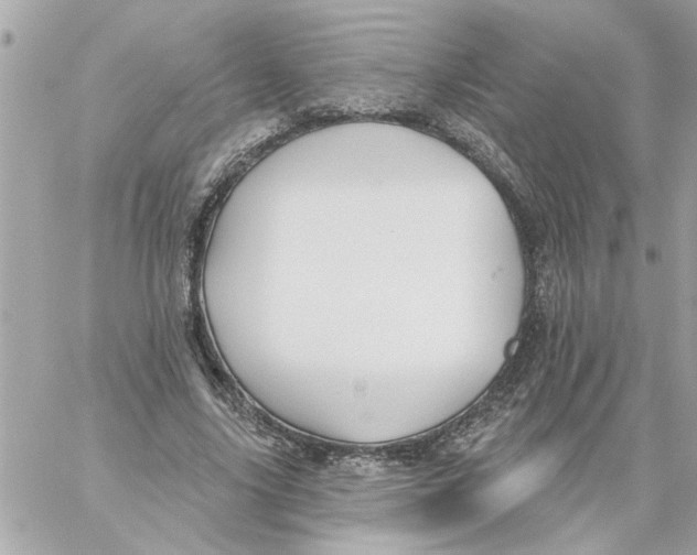 X0000059060635200511041729