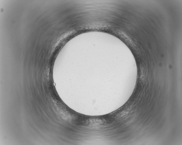 X0000059060636200511041729