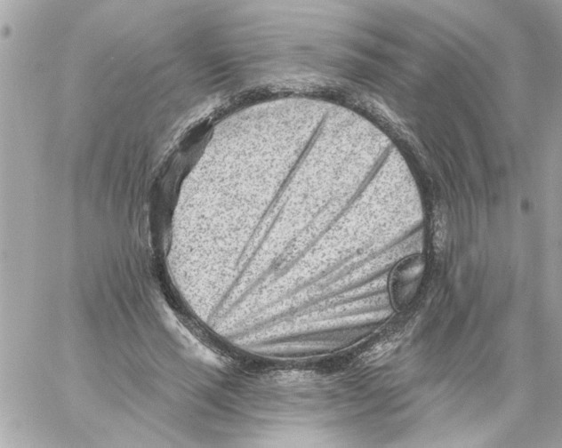 X0000059060637200511041729