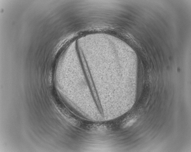 X0000059060640200511041729