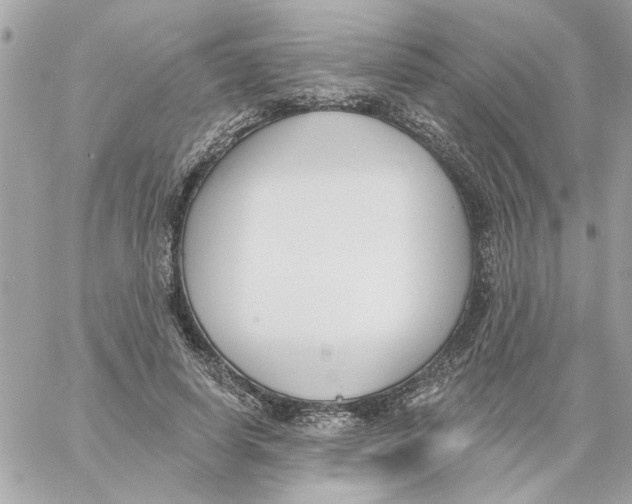 X0000059060642200511041729