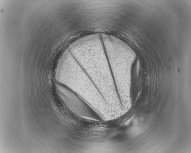 X0000059060643200511041730