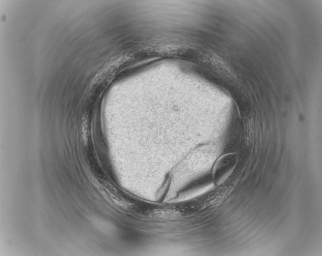 X0000059060644200511041730