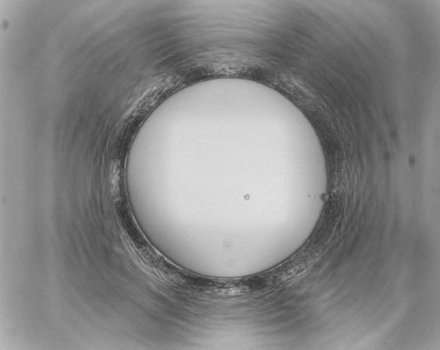 X0000059060646200511041730