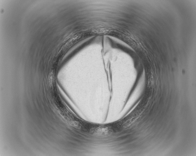 X0000059060647200511041730