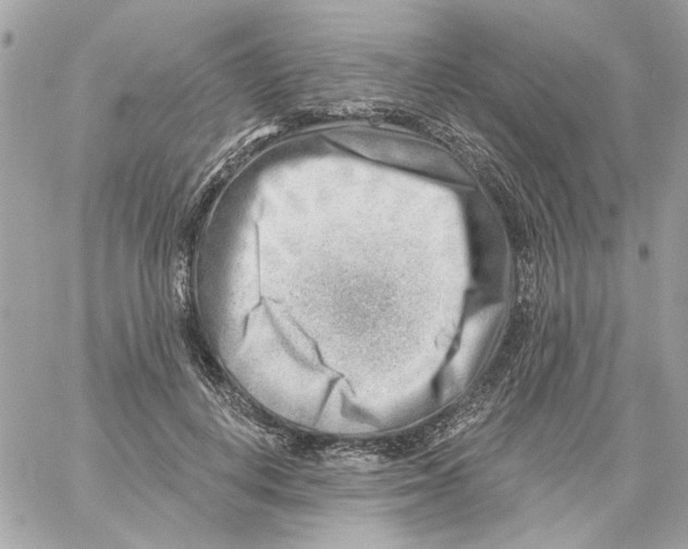 X0000059060648200511041730