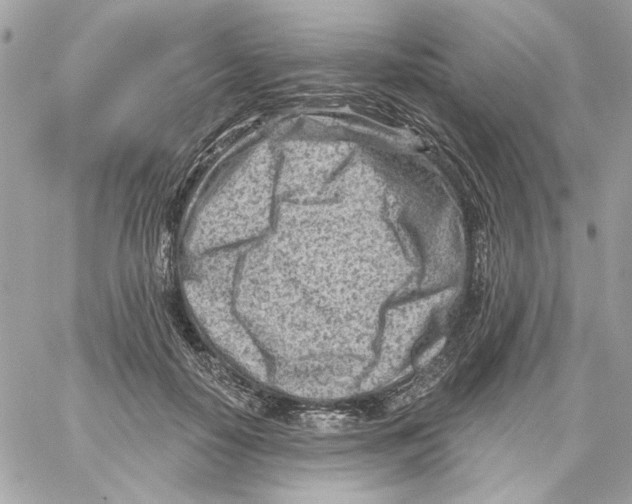 X0000059060650200511041730