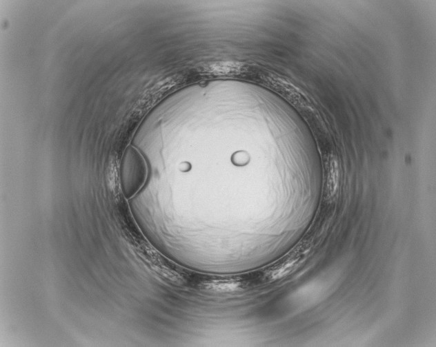 X0000059060651200511041730