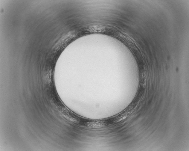 X0000059060652200511041730