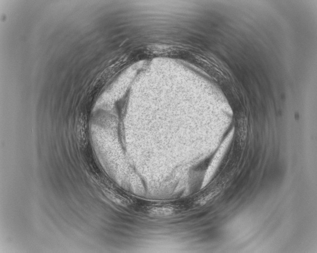 X0000059060653200511041730